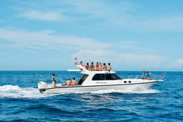 From Lembongan: Full Day Private Boat Snorkeling Nusa Penida - What Makes This Tour Stand Out?