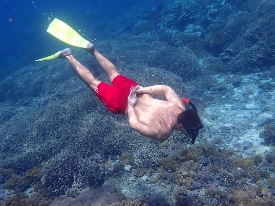 From Lembongan/Penida: Manta Point Private Snorkeling Tour - Final Thoughts