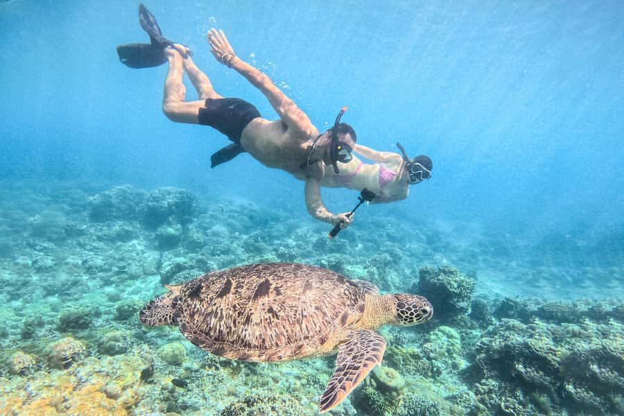 From Lombok: Full-Day Gili Gede, Rengit, & Layar Island Tour - Final Thoughts: Is This Tour Right for You?