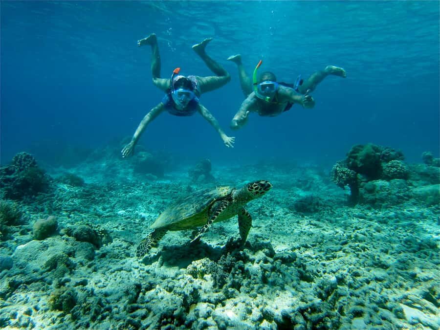 From Lombok: Gili Islands Snorkeling Day Trip - What to Expect On the Day