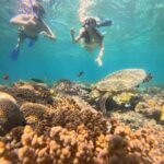 From Lombok Private Snorkeling 3 Gili All Inclusive - In-Depth Review of the Gili All-Inclusive Snorkeling Tour