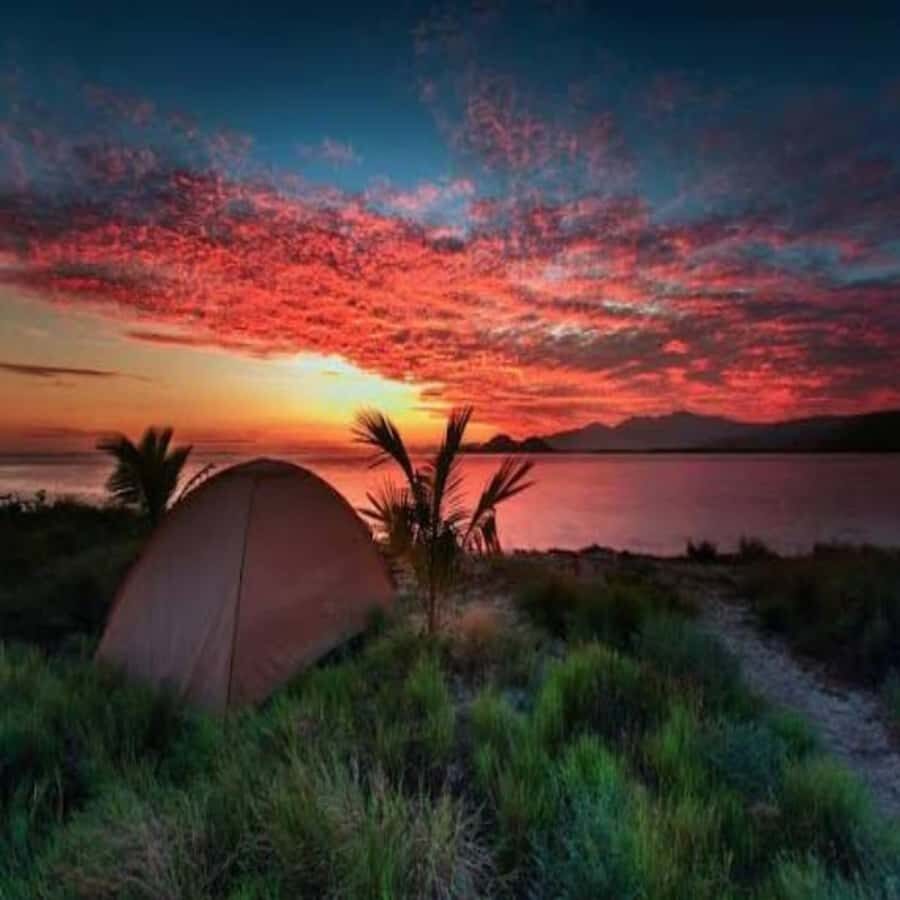 From Lombok Sumbawa 4-Day Moyo, Whale Sharks, & Satonda Tour - An In-Depth Look at the Itinerary