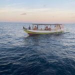 From Lombok,Sumbawa Whale Shark Tour 2D1N - Practical Considerations