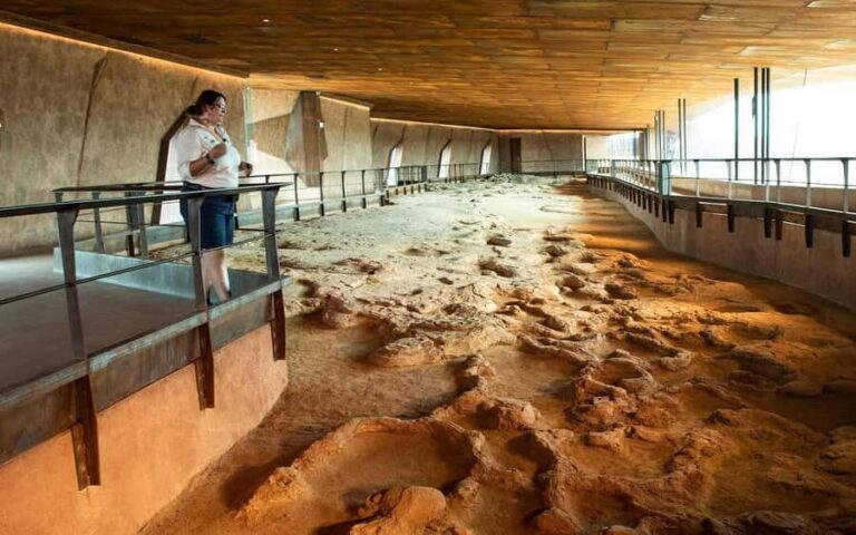 From Longreach: Outback Winton Full Day Tour - Setting Out on the Journey: First Impressions and Travel Comfort