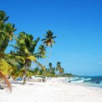From Los Melones: Saona Island Day Trip with Lunch - The Itinerary: What to Expect on This Saona Island Day Trip