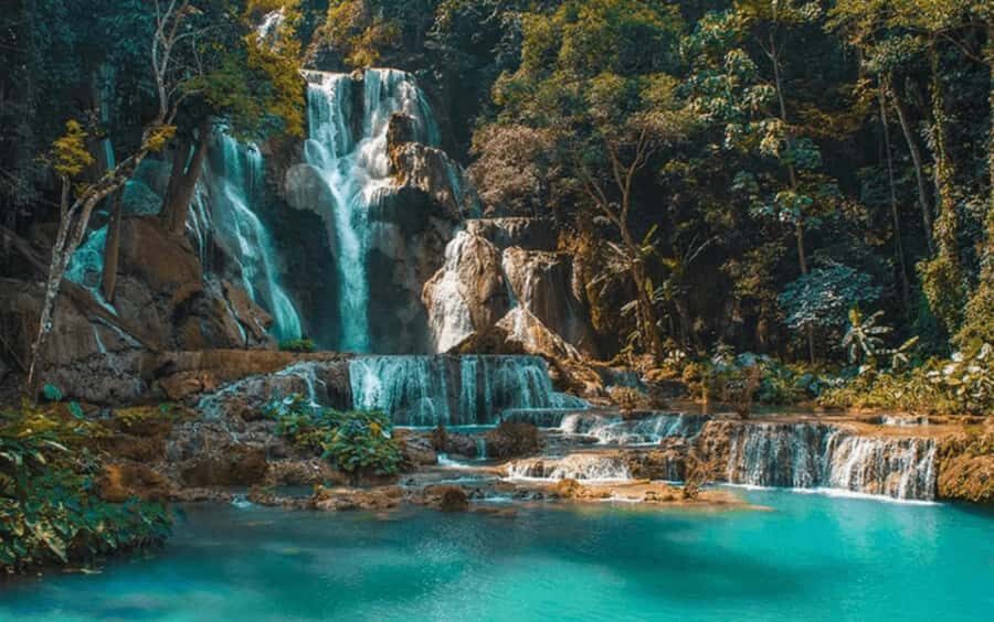 From Luang Prabang: Pak Ou Caves & Kuang Si Falls Tour - Practical Details and Value