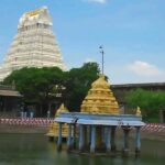 From Mahabalipuram to Kanchipuram Temple Tour with Lunch - Why This Tour is Worth It