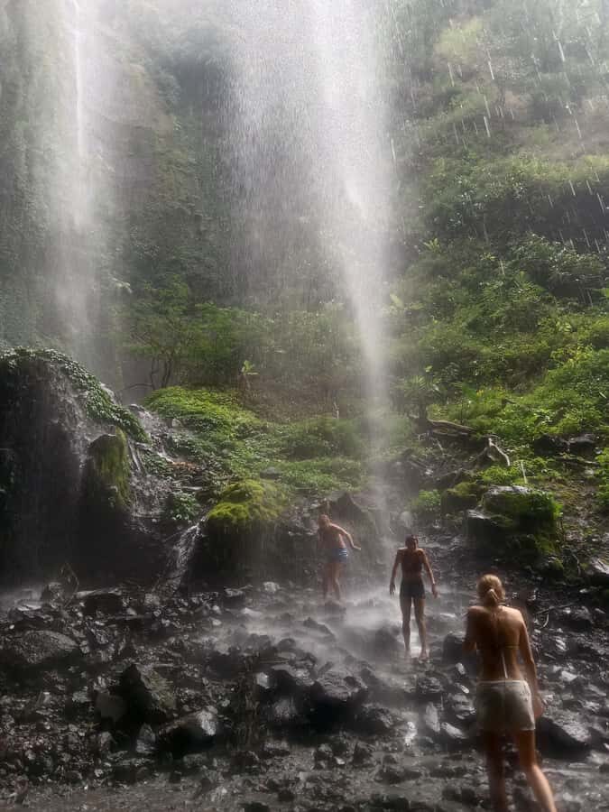 From Malang / Surabaya: Madakaripura Waterfall Guided Tour - Who This Tour Suits Best