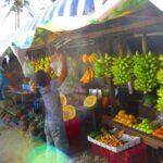 From Manila: Taal Volcano & Hidden Waterfalls Tour - Exploring the Itinerary in Detail