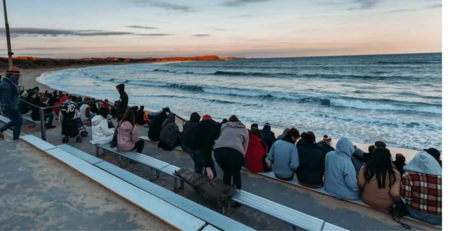From Melbourne: Phillip Island Penguin Parade Private Tour - Who Will Love This Tour?