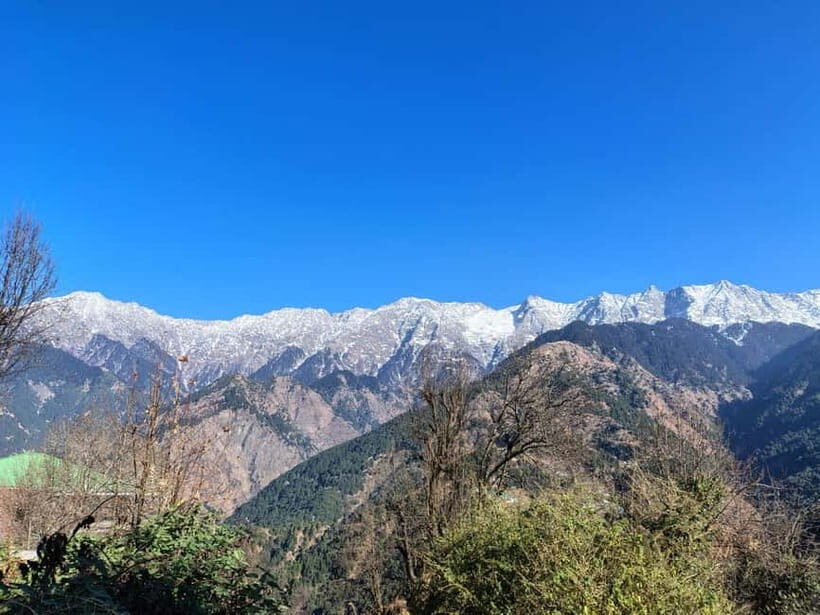 From Naddi: Guided Himalayan Nomad Culture & Nature Walk - Detailed Breakdown of the Itinerary