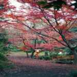 From Nagano: Tokyo Private Tour with Hotel Pickup - Practical Details and What This Tour Means for You