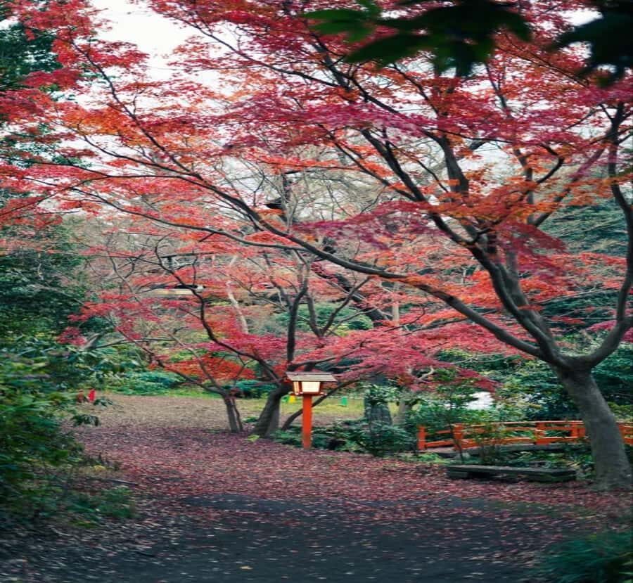 From Nagano: Tokyo Private Tour with Hotel Pickup - Practical Details and What This Tour Means for You