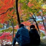 From Nagoya: Discover Aichi  Korankei, Miso, & Inari Shrine - Who Would Love This Tour?