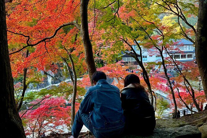 From Nagoya: Discover Aichi  Korankei, Miso, & Inari Shrine - Who Would Love This Tour?