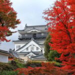 From Nagoya: Miso Factory, Fox Statue Shrine & Castle - Analyzing the Value