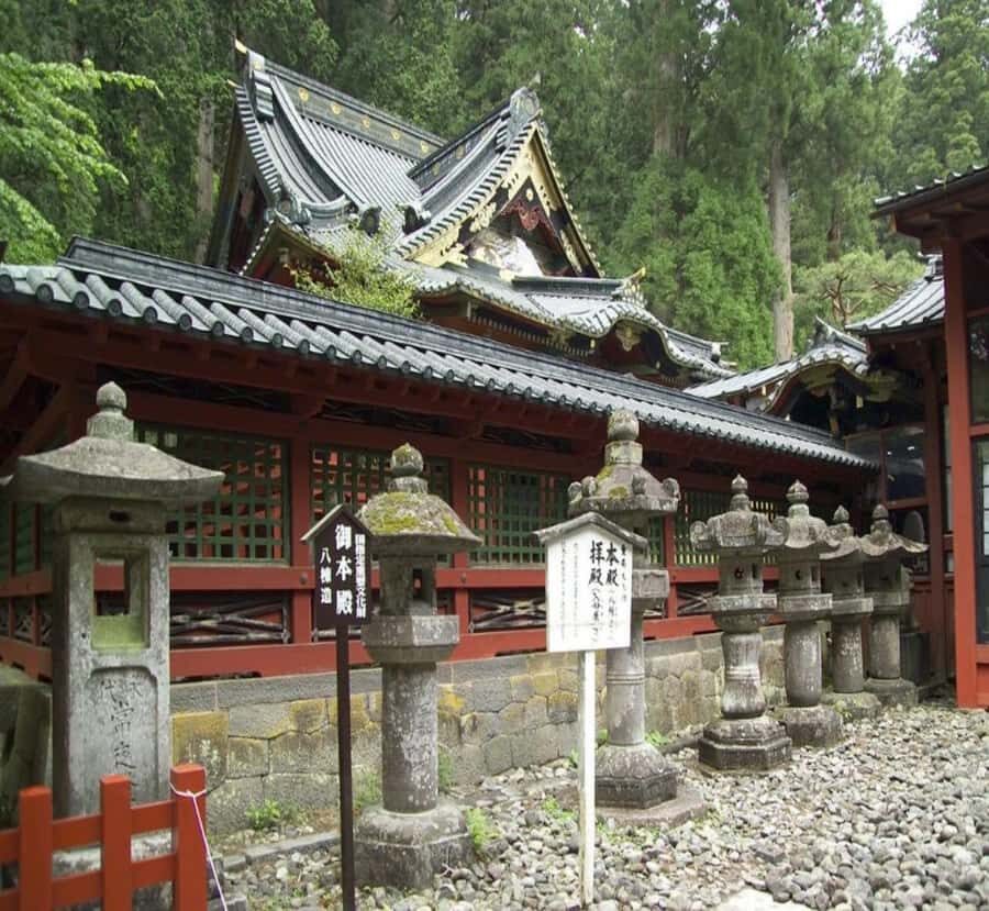 From Nagoya: Nikko Private Full-Day Tour with English Guide - A Deep Dive into the Nikko Full-Day Private Tour