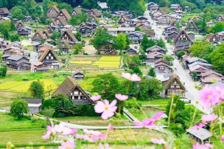 From Nagoya: Shirakawa-go & Hida-Takayama Full Day Trip - The Itinerary in Detail