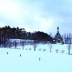 From Nagoya: Snow Day in the Japan Alps & Shirakawago - Snow Fun at the Highland Farm