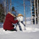 From Nagoya: Snow Day in the Japan Alps & Shirakawago - What Travelers Are Saying (Based on Reviews)