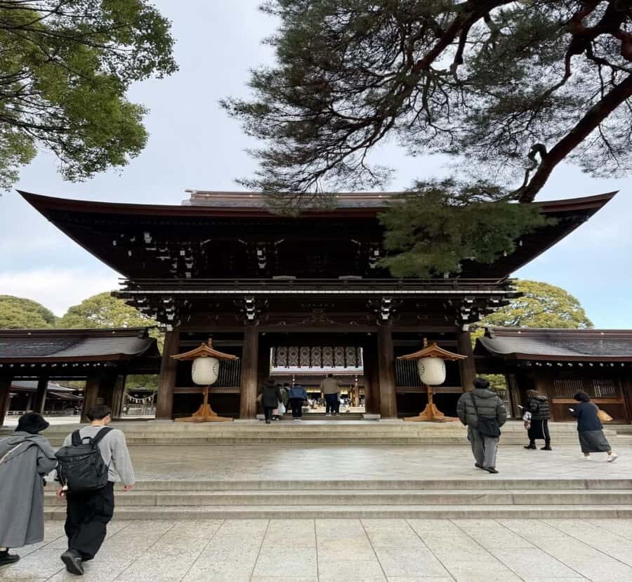 From Nagoya: Tokyo Private Scenic Tour with English Guide - A Deep Dive into the Tokyo Private Scenic Tour