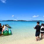 From Naha: Tokashiki Island Turtle Snorkeling Tour - The Practicalities: What to Know Before Booking