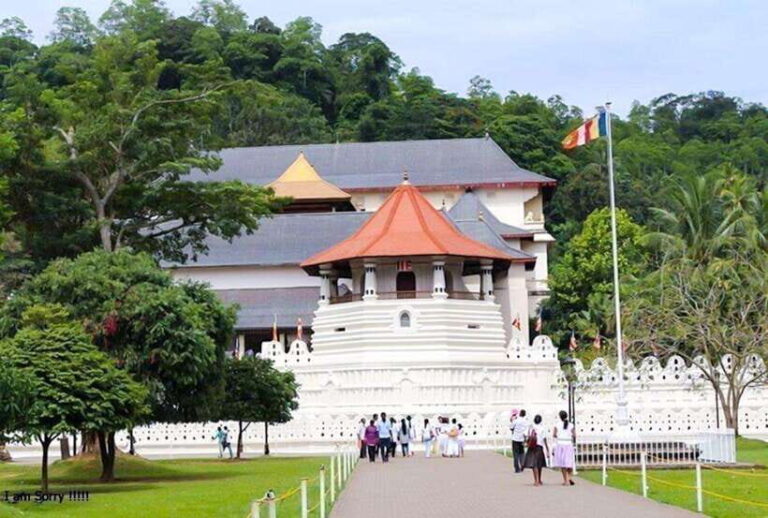 From Negombo: 2-Day Nuwara Eliya & Kandy Tour with Transfer - Transportation and Logistics