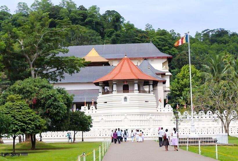 From Negombo: 2-Day Nuwara Eliya & Kandy Tour with Transfer - Transportation and Logistics