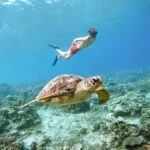 From Nusa Penida: 2D1N Gili Islands Private Snorkeling Tour - Practical Aspects and What You Should Know