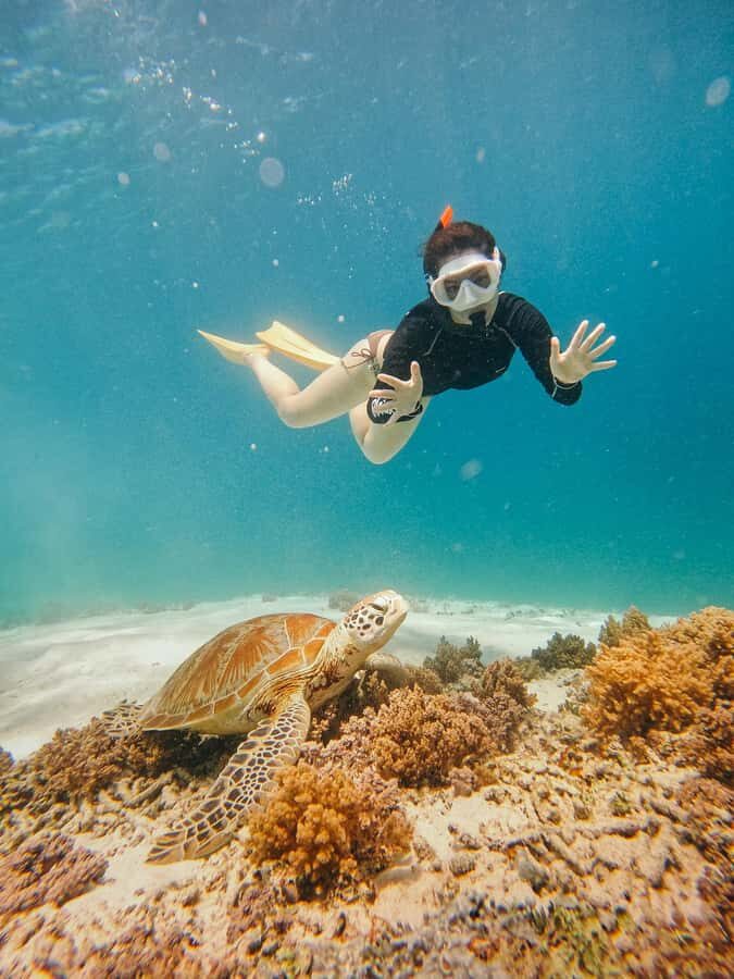From Nusa Penida: 2D1N Gili Islands Private Snorkeling Tour - What This Tour Means for You