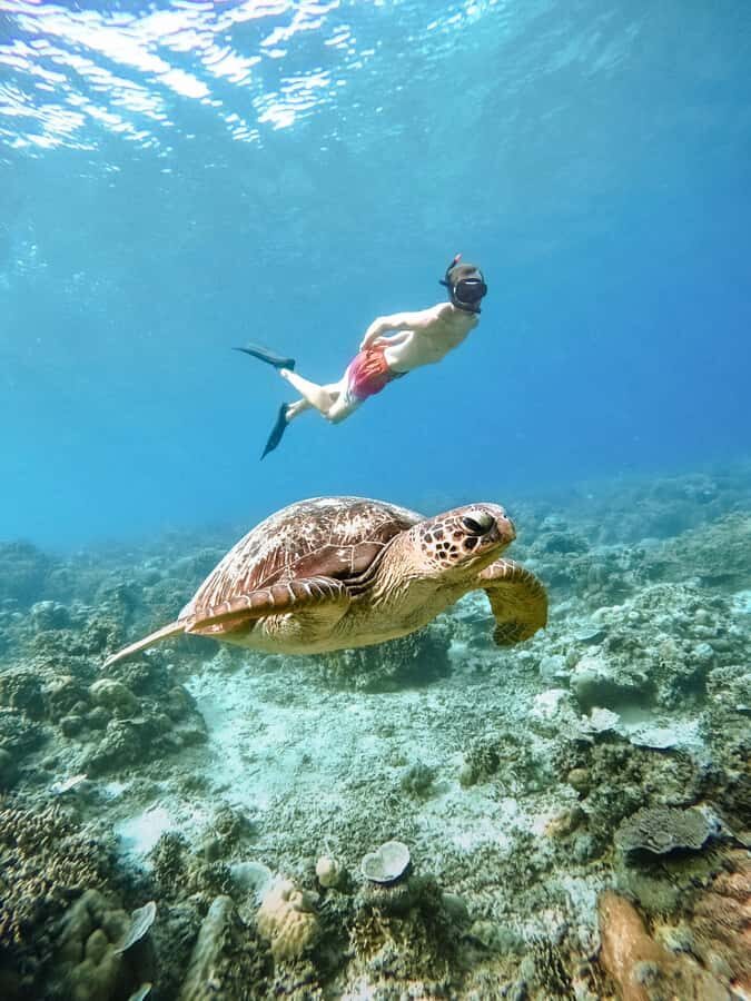 From Nusa Penida: 2D1N Gili Islands Private Snorkeling Tour - Practical Aspects and What You Should Know