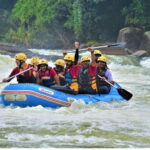 From Nuwara Eliya: White Water Rafting in Kithulgala-Private - The Rapids: Conquering the Water