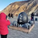 From Odawara: Hakone Scenic Adventure & Boat Cruise - What Makes This Tour Stand Out?