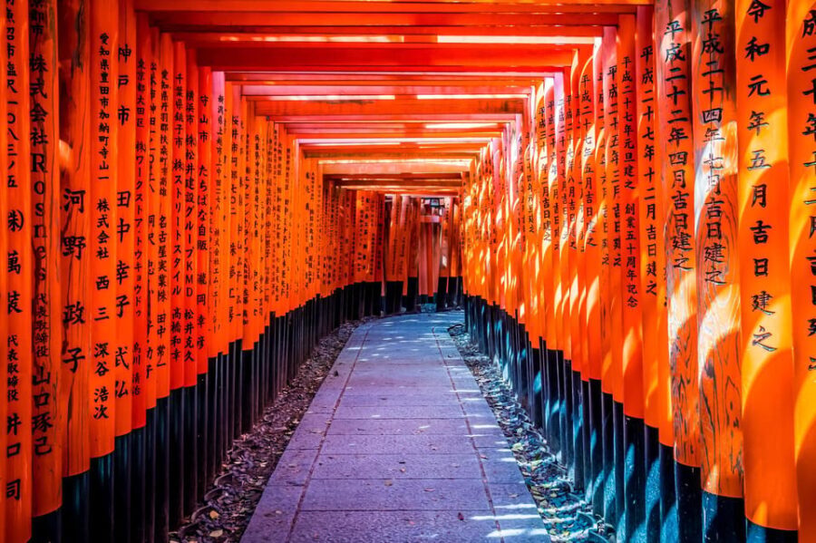 From Osaka/Kyoto: Arashiyama, Nara Park, Fushimi Shrine Tour - Practical Considerations and Value