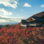 From Osaka/Kyoto: Kyoto Private Day Trip with Pickup - Who Will Love This Tour?