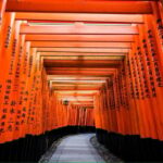 From Osaka/Kyoto: Private Kyoto and Nara Day Trip - How the Tour Adds Value
