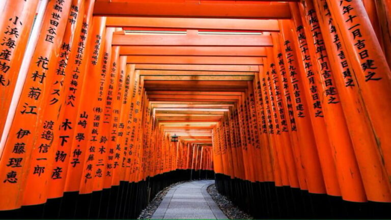 From Osaka/Kyoto: Private Kyoto and Nara Day Trip - How the Tour Adds Value