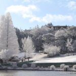 From Osaka: Mt. Rokko Snow, Crab Buffet & Strawberry Picking - Who Would This Tour Suit Best?