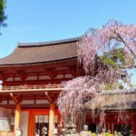 From Osaka: Nara 6 World Heritage Sites Day Tour with Guide - The Comfort of Small-Group Travel and Expert Guides
