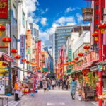 From Osaka: Nara private car tour with optional guide - Who Should Consider This Tour?