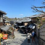 From Osaka: Private Customizable Day Tour to Kyoto - Who Should Consider This Tour?