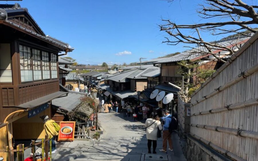 From Osaka: Private Customizable Day Tour to Kyoto - Who Should Consider This Tour?