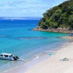 From Paihia: Scenic Cruise with Roberton Island Stopover - The Itinerary in Detail