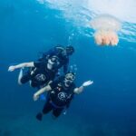 From Phi Phi Don | Half Day Discover Scuba Diving 2 Dives - Whats Included and How It Works