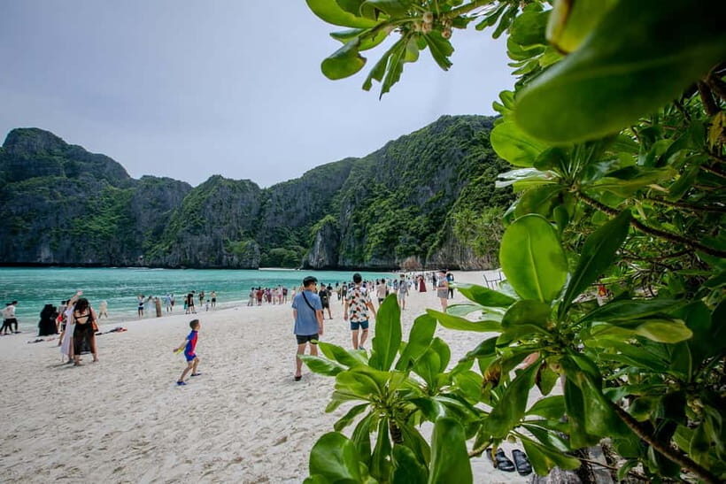From Phi Phi: Half-Day Longtail Boat Tour to Maya Bay - The Practicalities: What’s Included and What’s Not