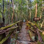 From Phu Quoc: Northern and Southern Full Day City Tour - Final Thoughts