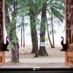 From Phuket: Khao Lak Private Sightseeing Tour with Driver - Analyzing the Value and Experience