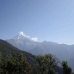 From Pokhara: Mardi Himal Trek with Accommodation and Guide - The Lowdown on the Mardi Himal Trek: What You Need to Know