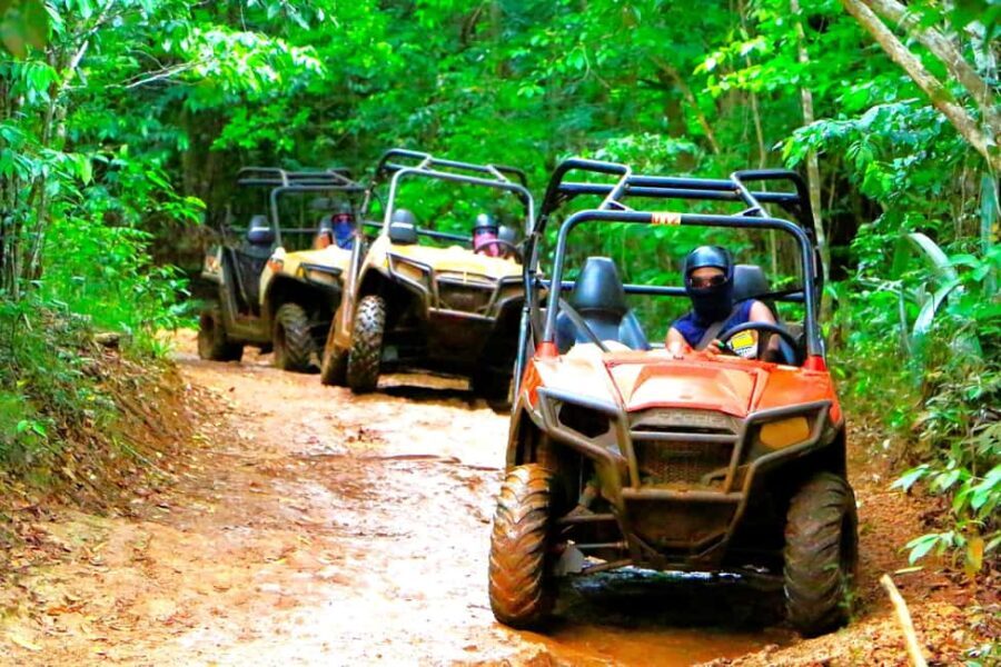 From Port Antonio: Off Road Vehicle Adventure Tour - Who Should Consider This Tour?