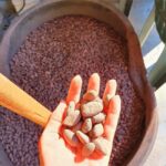 From Puerto Plata Priv: Cocoa, Coffee, Cigars & Local Market - Practical Details and Logistics